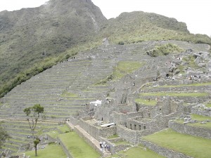 Machu-Picchu